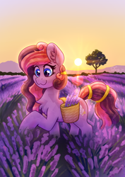 Size: 2480x3508 | Tagged: safe, artist:dandy, oc, oc only, oc:laventa breeze, crystal pony, pony, :3, basket, chest fluff, ear fluff, female, field, high res, lavender, secret santa, smiling, solo, sunset, tail, tail band