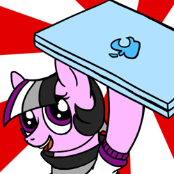 Size: 800x800 | Tagged: safe, artist:thedragenda, oc, oc:ace, earth pony, pony, ask-acepony, computer, laptop computer, solo