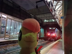 Size: 4000x3000 | Tagged: safe, artist:topsangtheman, peachy sweet, earth pony, pony, g4, amtrak, apple family member, irl, photo, plushie, solo, train