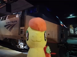 Size: 4000x3000 | Tagged: safe, artist:topsangtheman, peachy sweet, earth pony, pony, g4, amtrak, apple family member, irl, looking at you, photo, plushie, solo, train