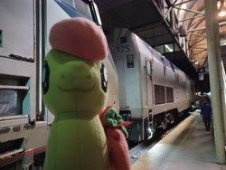 Size: 4000x3000 | Tagged: safe, artist:topsangtheman, peachy sweet, earth pony, pony, g4, amtrak, apple family member, irl, looking at you, photo, plushie, solo, train