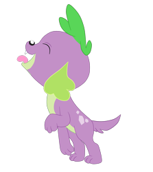 Size: 3242x3640 | Tagged: safe, artist:gmaplay, spike, spike the regular dog, dog, equestria girls, g4, cute, high res, licking, missing accessory, simple background, solo, spikabetes, spike the dog, tongue out, transparent background