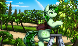 Size: 3517x2095 | Tagged: safe, artist:pridark, oc, oc only, earth pony, pony, butt, cloud, commission, earth pony oc, food, high res, ladder, orchard, outdoors, pear, plot, sky, smiling, solo