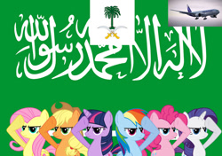 Size: 1024x721 | Tagged: safe, artist:princemoonbeam, applejack, fluttershy, pinkie pie, rainbow dash, rarity, twilight sparkle, earth pony, pegasus, pony, unicorn, g4, boeing, boeing 777, equestrian airlines, flag, mane six, plane, salute, saudi arabia, unicorn twilight