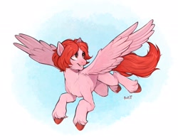 Size: 2048x1615 | Tagged: safe, artist:birdoffnorth, oc, oc only, oc:weathervane, pegasus, pony, colored hooves, commission, female, flying, mare, smiling, solo, spread wings, unshorn fetlocks, wings