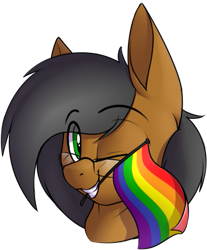 Size: 451x545 | Tagged: safe, artist:notetaker, oc, oc:notetaker, earth pony, pony, male, pride flag, simple background, solo, transparent background