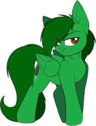 Size: 652x853 | Tagged: safe, artist:notetaker, oc, oc:thundercloud, pegasus, pony, male, simple background, solo, transparent background