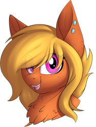 Size: 846x1124 | Tagged: safe, artist:notetaker, oc, oc only, oc:princess corona lionheart iv, pony, female, mare, piercing, simple background, solo, transparent background