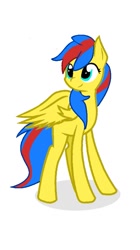 Size: 525x936 | Tagged: safe, oc, oc only, oc:small zhu, pegasus, pony, female, full body, mare, pegasus oc, shadow, simple background, smiling, solo, standing, tail