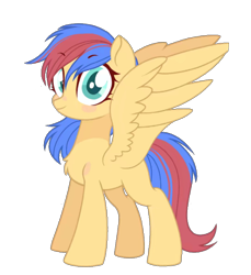 Size: 1080x1178 | Tagged: safe, oc, oc only, oc:small zhu, pegasus, pony, 2022 community collab, derpibooru community collaboration, chest fluff, eyebrows, eyebrows visible through hair, female, full body, mare, pegasus oc, simple background, smiling, solo, spread wings, standing, tail, transparent background, two toned mane, two toned tail, wings