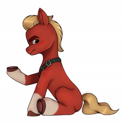 Size: 2048x2048 | Tagged: safe, artist:dancingkinfiend, artist:zekie_bleak, sprout cloverleaf, earth pony, pony, g5, my little pony: a new generation, angry, belt, blonde hair, blonde mane, coat markings, collaboration, eyebrows down, high res, male, red fur, serious, serious face, sitting, socks (coat markings), solo, stallion, tail, wavy hair, wavy mane, wavy tail