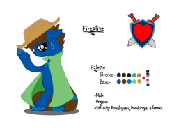 Size: 2828x2121 | Tagged: safe, artist:euphorictheory, oc, oc only, oc:fireblitz, pegasus, pony, cloak, clothes, floppy ears, hat, high res, male, reference sheet, simple background, solo, stallion, standing on two hooves, sweat, sweatdrop, text, transparent background, unshorn fetlocks
