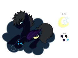 Size: 2828x2121 | Tagged: safe, artist:euphorictheory, oc, oc only, oc:dusk rhyme, bat pony, pony, arm band, bio in description, cloud, high res, lying down, male, reference sheet, simple background, solo, stallion, transparent background