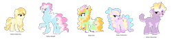 Size: 2600x591 | Tagged: safe, artist:tragedy-kaz, oc, oc only, classical hippogriff, hippogriff, hybrid, kirin, pegasus, pony, base used, braid, braided tail, colored wings, female, group, hoof on chest, interspecies offspring, male, mare, offspring, parent:princess celestia, parents:canon x oc, pegasus oc, raised hoof, simple background, smiling, stallion, tail, transparent background, two toned wings, wings