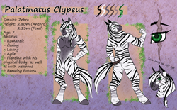 Size: 3156x1960 | Tagged: safe, artist:dragonofra, oc, oc only, oc:palatinatus clypeus, zebra, anthro, unguligrade anthro, abs, ass, belly button, butt, colored pupils, eye, eye scar, eyebrows, eyelashes, featureless crotch, flexing, furry, hand on hip, looking at you, looking back, looking back at you, male, muscles, pecs, reference sheet, scar, smiling, smiling at you, smirk, solo, tail, tail wrap, text, zebra oc