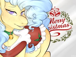 Size: 1600x1200 | Tagged: safe, artist:miphassl, oc, oc only, oc:bb-shay, earth pony, pony, christmas, happy, holiday, offscreen character, outfit, pov, smiling, solo