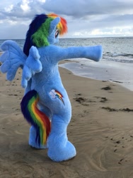 Size: 960x1280 | Tagged: safe, artist:atalonthedeer, rainbow dash, pegasus, anthro, g4, beach, clothes, cosplay, costume, female, fursuit, irl, man, mare, ocean, photo, pointing, ponysuit, raised hoof, sand, solo, wings