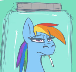 Size: 1404x1344 | Tagged: safe, artist:t72b, rainbow dash, pegasus, pony, g4, cigarette, female, frown, funny, funny as hell, green background, jar, lewd container meme, lidded eyes, mare, meme, missing ear, nft, parody, simple background, solo, unamused, whiskers