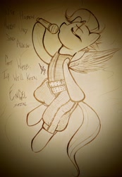 Size: 2516x3644 | Tagged: safe, artist:dsstoner, fluttershy, pegasus, pony, g4, clothes, german, high res, lyrics, microphone, rammstein, short mane, song reference, spread wings, text, wings