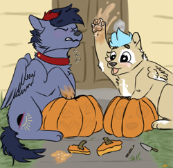 Size: 2005x1938 | Tagged: safe, artist:onyxdr, oc, oc:dawn chaser, oc:onyx, hengstwolf, werewolf, coat markings, halloween, knife, male, paw pads, paws, pinto, pumpkin, pumpkin carving, stallion, text
