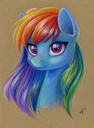 Size: 888x1200 | Tagged: safe, artist:maytee, rainbow dash, pegasus, pony, g4, bust, colored pencil drawing, female, looking at you, mare, portrait, solo, three quarter view, traditional art