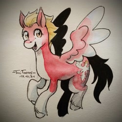 Size: 2048x2048 | Tagged: safe, artist:taritoons, pegasus, pony, high res, nation ponies, poland, ponified, solo, traditional art