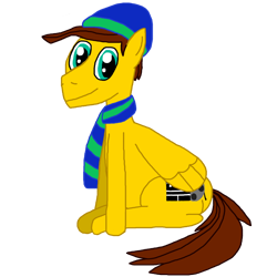 Size: 800x800 | Tagged: safe, artist:sb1991, derpibooru exclusive, oc, oc only, oc:film reel, pegasus, pony, 2022 community collab, derpibooru community collaboration, clothes, hat, looking at you, male, scarf, simple background, sitting, solo, transparent background, winter hat