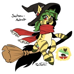 Size: 700x700 | Tagged: safe, artist:taritoons, pony, bundesland ponies, germany, nation ponies, ponified, sachsen-anhalt, solo, witch costume