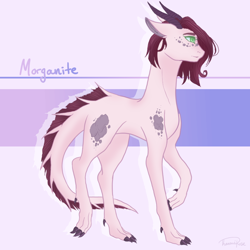 Size: 850x850 | Tagged: safe, artist:konomirose01, oc, oc only, oc:morganite, dracony, hybrid, female, interspecies offspring, offspring, parent:rarity, parent:spike, parents:sparity, solo