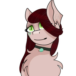 Size: 1500x1500 | Tagged: safe, artist:teonnakatztkgs, oc, oc only, earth pony, pony, bust, chest fluff, choker, ear fluff, female, mare, simple background, solo, white background