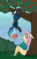 Size: 800x1280 | Tagged: safe, artist:mintymelody, fluttershy, rainbow dash, anthro, g4, apple, apple tree, boop, bush, converse, ear fluff, eye bag, female, hanging, hanging upside down, lesbian, ship:flutterdash, shipping, shoes, tree, upside down