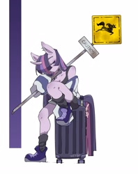 Size: 1980x2500 | Tagged: safe, artist:potetecyu_to, twilight sparkle, unicorn, anthro, plantigrade anthro, g4, clothes, female, holding, luggage, sign, simple background, sitting, solo, white background