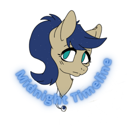 Size: 500x500 | Tagged: safe, artist:princessmoonlight, oc, oc:midnight timeline, earth pony, pony, badge, bust, curve text, green eyes, jewelry, necklace, portrait