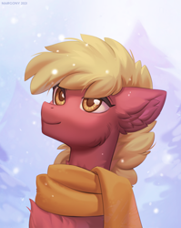 Size: 954x1200 | Tagged: safe, artist:margony, oc, oc only, earth pony, pony, clothes, male, scarf, solo, stallion