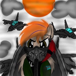 Size: 720x720 | Tagged: safe, artist:melidash, oc, oc only, oc:fededash, pegasus, pony, argentina, cloud, day, eyebrows, folded wings, jet, jet fighter, male, plane, solo, stallion, sun, war, wings