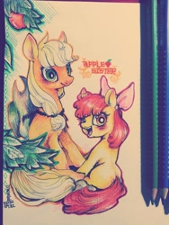 Size: 960x1280 | Tagged: safe, artist:mirululu, apple bloom, applejack, earth pony, pony, g4, adorabloom, blushing, cute, duo, female, filly, foal, mare, siblings, sisters, smiling, traditional art