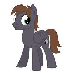 Size: 1500x1500 | Tagged: safe, artist:the smiling pony, oc, oc only, oc:wingbeat, pegasus, pony, g4, .svg available, brown mane, brown tail, folded wings, full body, green eyes, looking at you, male, pegasus oc, show accurate, simple background, smiling, solo, stallion, standing, svg, tail, three quarter view, transparent background, vector, wings
