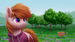 Size: 5760x3240 | Tagged: safe, artist:luminousdazzle, oc, oc:stuben, earth pony, pony, pony town, clothes, detailed, detailed background, digital art, grass, grass field, hoodie, male, purple eyes, semi-realistic, sign, smiling, solo, stallion, tree