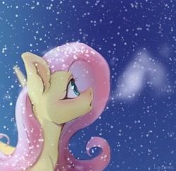 Size: 4096x3962 | Tagged: safe, artist:laymy, fluttershy, pegasus, pony, g4, blushing, breath, bust, cold, cute, female, looking up, mare, open mouth, outdoors, profile, shyabetes, snow, snowfall, solo, winter