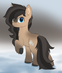 Size: 1700x2000 | Tagged: safe, artist:luminousdazzle, oc, oc:flister, earth pony, pony, yakutian horse, blue eyes, blurry background, chest fluff, ear fluff, facial markings, female, fluffy, gradient hooves, looking at you, mare, raised hoof, simple background, snow, snow mare, solo, unshorn fetlocks
