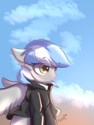 Size: 2250x3000 | Tagged: safe, artist:morealy, oc, oc only, oc:antimony, pegasus, pony, clothes, cloud, high res, hoodie, sky, solo