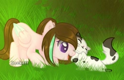 Size: 698x449 | Tagged: safe, artist:plinckyctt, oc, oc only, cat, pegasus, pony, duo, female, grass, mare, pegasus oc, wings