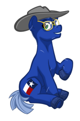 Size: 1084x1636 | Tagged: safe, artist:texasuberalles, oc, oc only, earth pony, pony, 2022 community collab, derpibooru community collaboration, cowboy hat, glasses, hat, looking at you, male, ponysona, scar, simple background, sitting, smiling, solo, stallion, transparent background, unshorn fetlocks