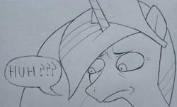 Size: 3072x1851 | Tagged: safe, artist:public mistake, twilight sparkle, alicorn, pony, g4, bust, frown, grayscale, huh, monochrome, older, older twilight, older twilight sparkle (alicorn), pencil drawing, princess twilight 2.0, solo, speech bubble, traditional art, twilight sparkle (alicorn)