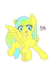 Size: 679x960 | Tagged: safe, artist:陌路, oc, oc only, oc:nature guard, pegasus, pony, chest fluff, looking at you, solo, spread wings, wings