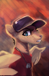Size: 1500x2312 | Tagged: safe, artist:hierozaki, oc, oc only, pegasus, pony, baseball cap, cap, dog tags, hat, male, scout (tf2), solo, team fortress 2