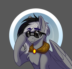 Size: 832x792 | Tagged: safe, artist:alrumoon_art, oc, oc only, pegasus, pony, chest fluff, male, solo, sunglasses
