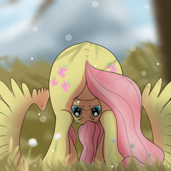 Size: 1080x1080 | Tagged: safe, artist:杏银花开, fluttershy, pegasus, pony, g4, both cutie marks, butt, cute, female, flutterbutt, looking at you, looking between legs, mare, plot, shyabetes, solo