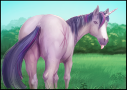 Size: 764x541 | Tagged: safe, artist:alcor, twilight sparkle, horse, pony, unicorn, g4, blaze (coat marking), butt, coat markings, facial markings, female, field, hoers, looking at you, looking back, looking back at you, mare, outdoors, plot, realistic anatomy, sketch, solo, tongue out