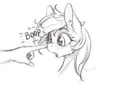 Size: 2048x1536 | Tagged: source needed, safe, artist:alcor, human, pony, blushing, boop, hand, looking at someone, monochrome, sketch, surprised, text